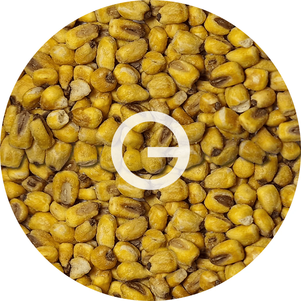 Tnogal - Maiz Salado 10kg