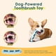 thumbnail image 3 of Juguete Dental para Perro ZongniYiT - Pack de 3 con Cerdas, 3 of 8