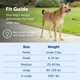 thumbnail image 5 of Collar para perro PetSafe Gentle Leader No-Pull, azul medio, 5 of 6