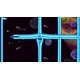 thumbnail image 4 of Videojuego VGNY soft Stellar Interface Edición Elite, 4 of 6