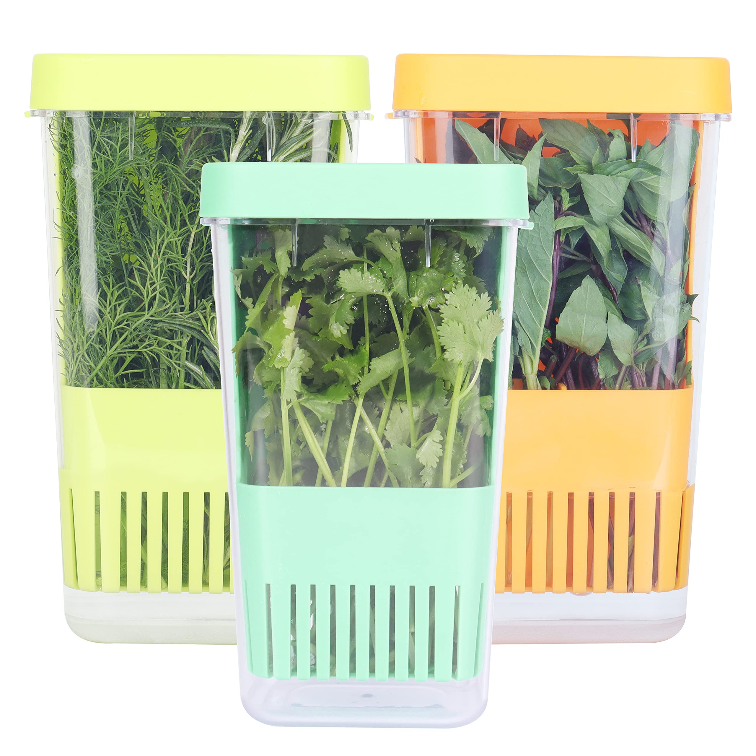 Herb Keeper Luvcosy Plástico Sin Bpa Con Cesta Interior, Paquete De 3
