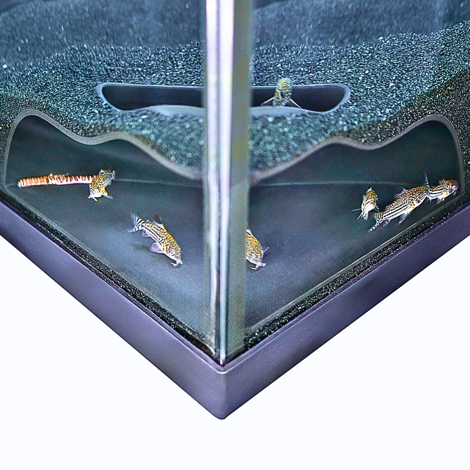 Cueva de Esquina Lucky Critter 15 cm para Acuario