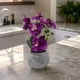 thumbnail image 3 of Planta Artificial Orquidea Pequeña Macetero De Cemento purpura, 3 of 5