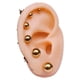 thumbnail image 1 of Pack 6 Par De Aros Piercing Oreja Esfera Chapada En Oro 18k, 1 of 3