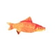 thumbnail image 1 of Gato De Peluche Catnip Fish Toys 18cm Simulación De Pez Relleno Juguete Práctico Lovely Carp, 1 of 5