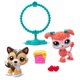 thumbnail image 3 of Figura de juguete Littlest Pet Shop 5 cm Pack de 2 S2, 3 of 6