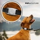 thumbnail image 2 of Collar para perro Pup Culture Pequeño Gris con soporte para AirTag, 2 of 6