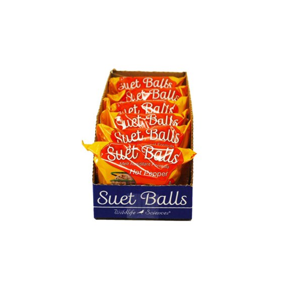 Bolas de sebo para aves Wildlife Sciences, paquete de 24 con pimienta picante