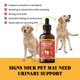 thumbnail image 4 of Tratamiento Para Infección Urinaria En Gatos Y Perros Con Arándano, 4 of 8