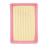 Repuestos Del Sol - Filtro Aire Hyundai Elantra 2.0 Xd 2001 2006