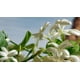 thumbnail image 4 of Dolce&Gabbana Q Parfum Eau de Parfum en spray 30 ml, 4 of 5