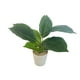 thumbnail image 1 of Planta Artificial Boj Japonico 12*12cm, 1 of 2