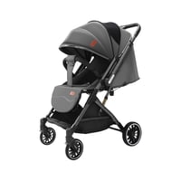Coche Paseo Reversible Con Mosquitero Focus Gris Lubabycas