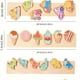 thumbnail image 2 of 3D Three-dimensional Wooden Montessori Puzzle Toys For Early Childhood Education, Children's Puzzle, Animal Traffic Cognition Matching Blocks, 2 of 3