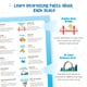 thumbnail image 4 of Puzzle Imagimake Mapology Estados Unidos con datos curiosos de 4 a 8 años, 4 of 6