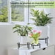thumbnail image 5 of 2 Soporte Macetero Planta Retirable Interior Y Exterio 22cm, 5 of 9