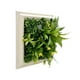 thumbnail image 2 of Jardin Vertical Vertiente, 2 of 4