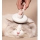 thumbnail image 3 of Cepillo de aseo Pet Life 'Concepto' de cerdas modernas para gato y perro, 3 of 9