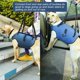 thumbnail image 5 of Arnés para levantamiento de perros Coodeo Support Rehabilitation Sling Blue XL, 5 of 8