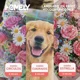 thumbnail image 3 of Papel Laminado Frio Holografico Adhesivo A4 Homely 18 Hojas Blanco, 3 of 3