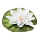 thumbnail image 3 of Lily Pennington Aquagarden flotante, 14 cm de diámetro, plástico, 3 of 4