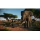 thumbnail image 5 of Videojuego Fireshine Games Planet Zoo para Xbox Series X, 5 of 6