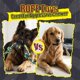 thumbnail image 4 of Cuerdas para Perro GASAPET - Set de 9 Juguetes de Masticar para Razas Grandes, 4 of 6