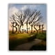 thumbnail image 1 of Cuadro aluminio cine Big Fish 60x40 cm, 1 of 1
