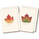thumbnail image 1 of Set de tarjetas de notas Earth Sky + Water 9 × 13 cm – 8 unidades, 1 of 4