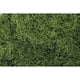 thumbnail image 1 of Bolsa de musgo español verde preservado Shinoda de 454 g, 1 of 1