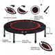 thumbnail image 3 of Trampolín Home Fitness Plegable Cama Elástica Portátil, 3 of 3