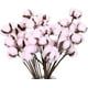 thumbnail image 1 of Paquete de 30 tallos de algodón, flores de algodón secas naturalmente, decoración estilo granja, flores secas, decoración del hogar, accesorios de fotos, decoración de ambientes., 1 of 7