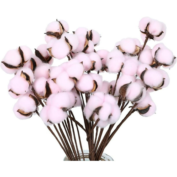 Paquete de 30 tallos de algodón, flores de algodón secas naturalmente, decoración estilo granja, flores secas, decoración del hogar, accesorios de fotos, decoración de ambientes.
