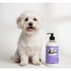 thumbnail image 5 of Shampoo + Acondicionador De Avena 1 Litro + Colonia Mascotas, 5 of 6