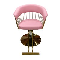 Impo Salon Spa - Silla De Peluqueria Hidráulica Rosada