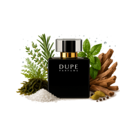 Beauty & Scent - Perfume Dupe Saltwater Extrait 100 Ml