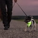 thumbnail image 2 of Bandana Reflectante Para Perros Y Gatos. Pañoleta De Mascota verde, 2 of 5
