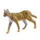 thumbnail image 2 of Figura De Gato Africano Juguetes Educativos En Miniatura Para Regalo De Cumpleaños De Fiesta, 2 of 5