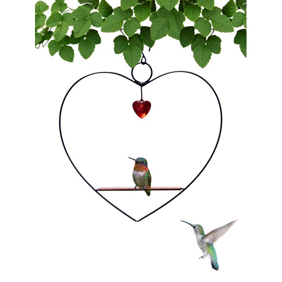 Colgante para colibríes Songbird Essentials negro de madera