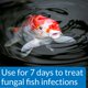 thumbnail image 2 of Remedio Antifúngico API PimaFix 473 ml para Koi y Peces Dorados, 2 of 6