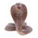 thumbnail image 2 of Animal Modelo Estatuilla Ni?os Zoológico Educativo Animal/árbol Juguete Accesorios Regalos I, 2 of 3