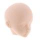 thumbnail image 1 of 22 Cuerpo De Muñeca Articulado Movible 1/6 BJD Cabeza De Muñeca Desnuda Sin Contorno De Ojos, 1 of 5