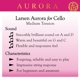 thumbnail image 2 of Cuerdas de Violonchelo LARSEN STRINGS Aurora – Tensión Media, 2 of 6
