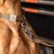 thumbnail image 5 of Correa para perro Carhartt marrón/latón cepillado, grande, 5 of 5