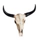 thumbnail image 2 of Bull Skull Escultura Colgante De Pared Artesanía Resina Animales Cabeza Cráneo De Vaca, 2 of 5