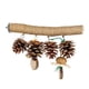 thumbnail image 3 of Juguetes Para Pájaros, Soporte De Percha, Juguete Ligero Para Loros, Periquitos, Colibríes, Agapornis, 3 of 3