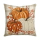 thumbnail image 1 of 1pc, Fall Decorative Throw Pillowcase 17.7 X 17.7 Inch, Thanksgiving Pumpkin Spice Leaf Autumn Decoration Outdoor Farmhouse Plaid Pillowcase For Home Sofa, 1 of 5