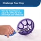 thumbnail image 3 of Juguete para perros PetSafe Busy Buddy Kibble Nibble Slow Feeder, 3 of 6