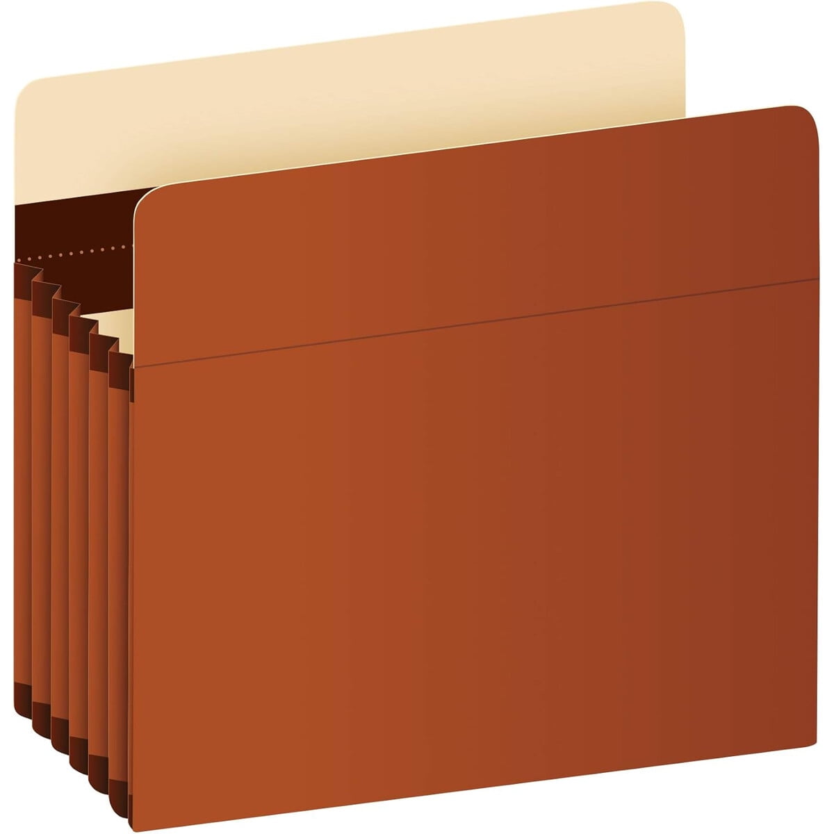 Carpeta Acordeón Pendaflex Tamaño Carta Pack 10