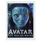 thumbnail image 1 of Kit de Pintura de Diamantes 5D Avatar Desmarcar 30x40 cm, 1 of 6